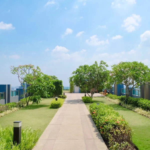 Rooftop Aroma Garden